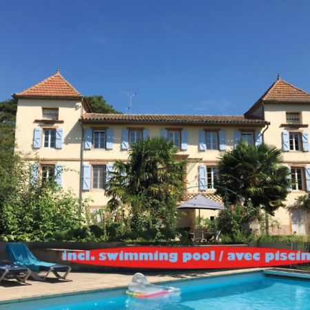 Domaine De Menerque - Petit Chateau Avec Piscine Lisle-sur-Tarn Экстерьер фото