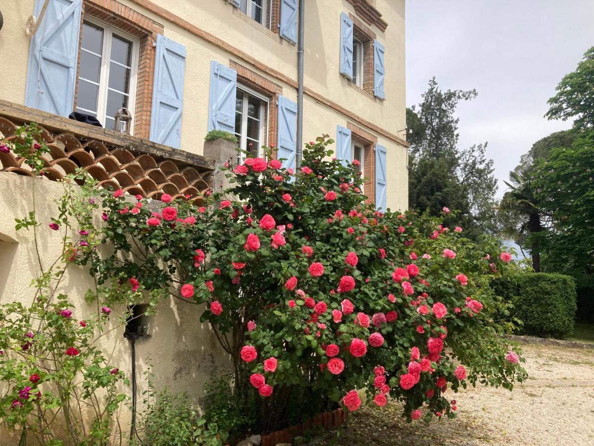 Domaine De Menerque - Petit Chateau Avec Piscine Lisle-sur-Tarn Экстерьер фото